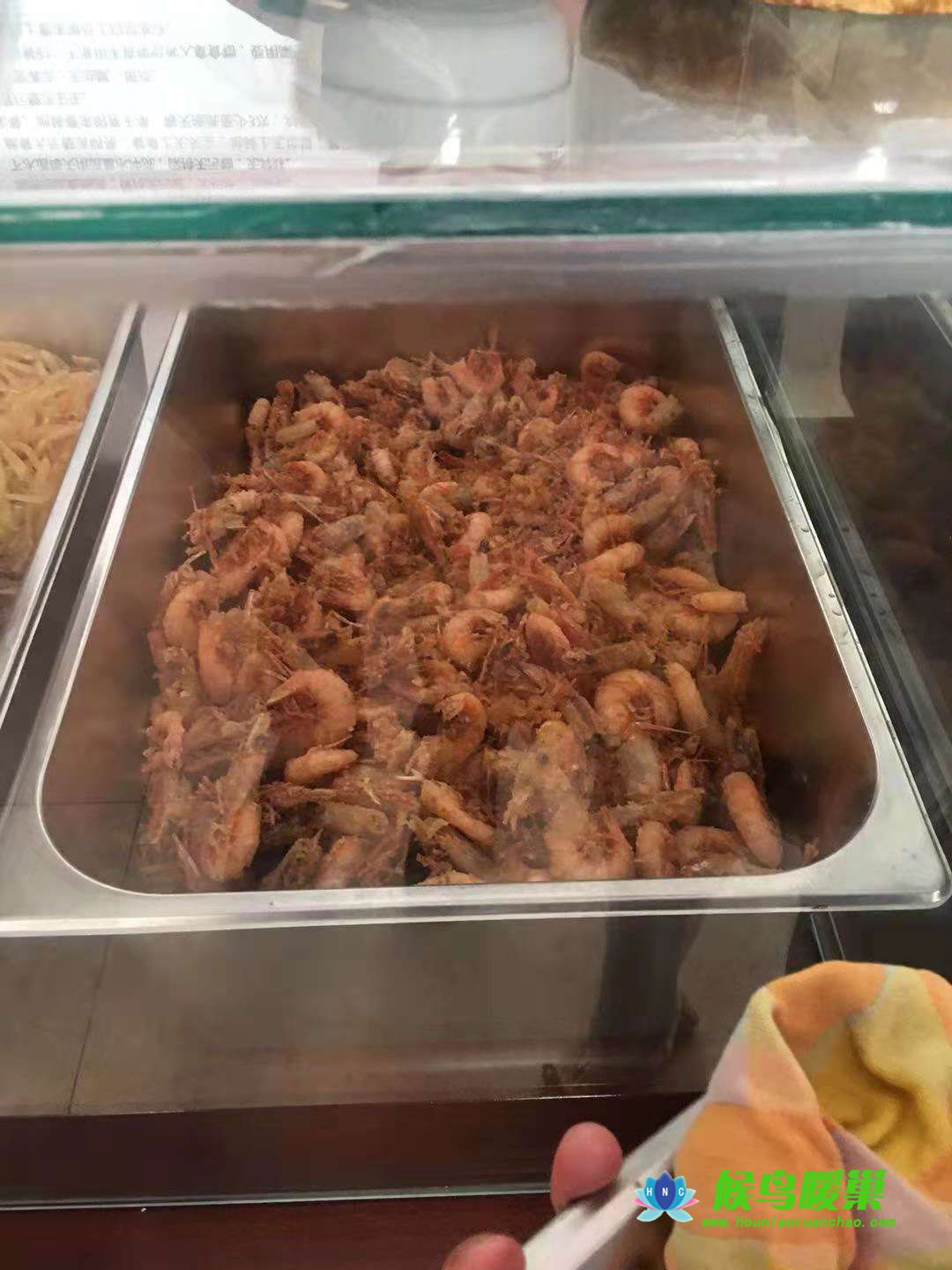 免费营养伙食(图3)